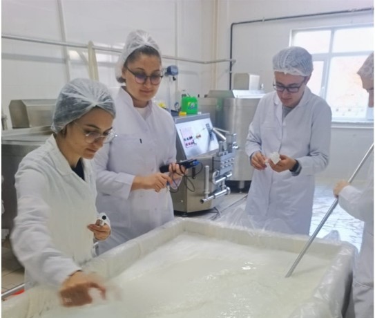 Project Success from Our University