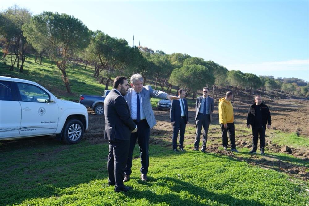 Üniversitemiz Sahil Alanı Modern Bir Yaşam Köyüne Dönüşüyor