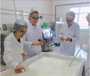 Project Success from Our University